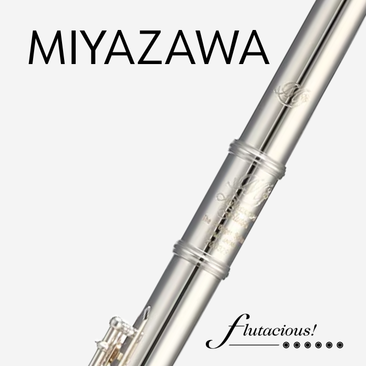 Miyazawa Vision