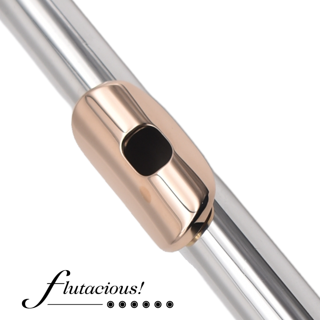 Burkart Silver + 14k Gold Lip #1104