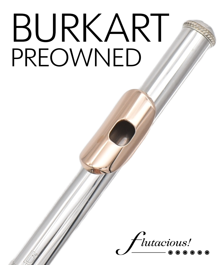 Burkart Silver + 14k Gold Lip #1104