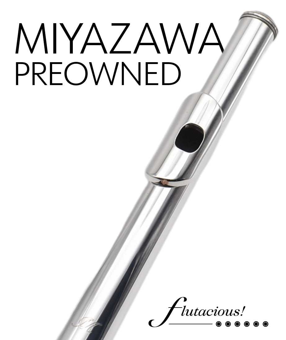 Miyazawa Silver + Pt900 Riser