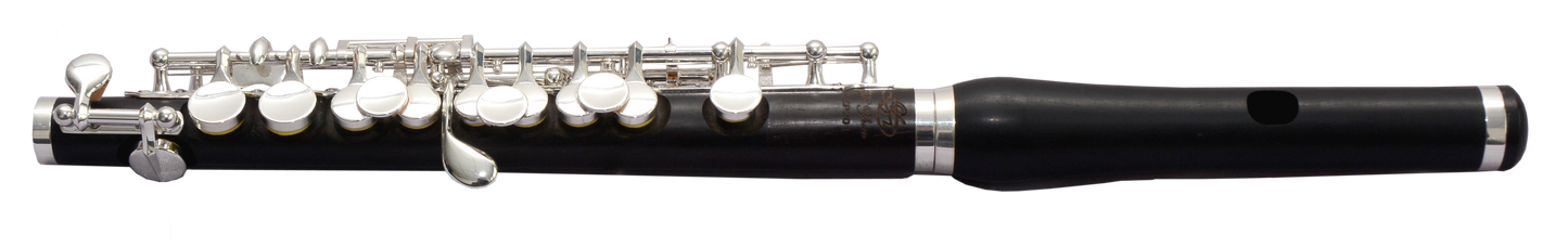 Di Zhao DZP-201 Piccolo