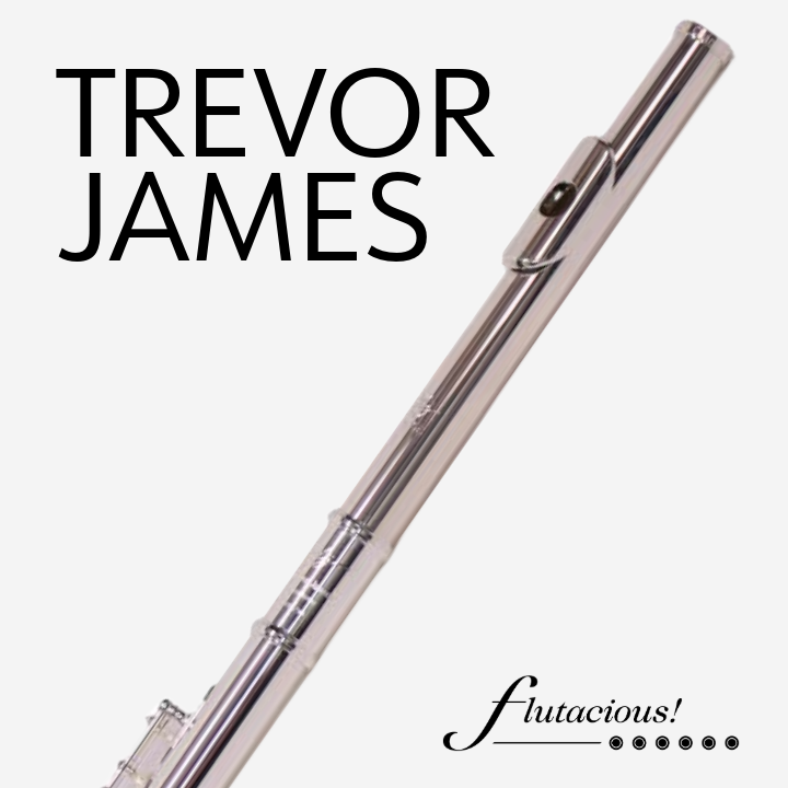 Trevor James Chanson Voce