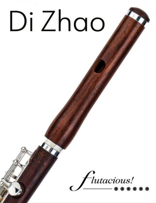 Di Zhao DZP-301 Rosewood Piccolo