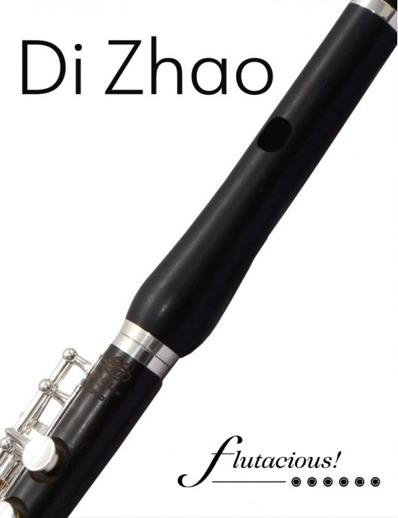 Di Zhao DZP-201 Piccolo