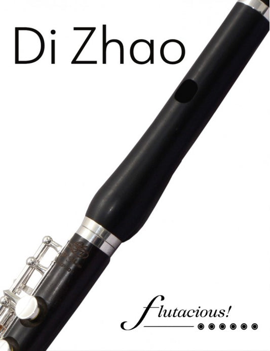 Di Zhao DZP-101 Piccolo