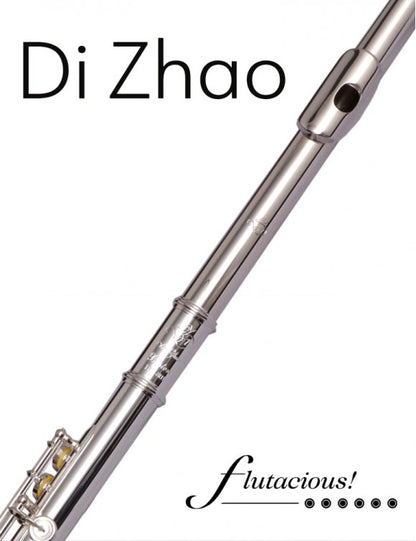 Di Zhao 401