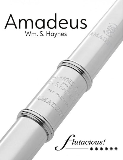 Amadeus 580