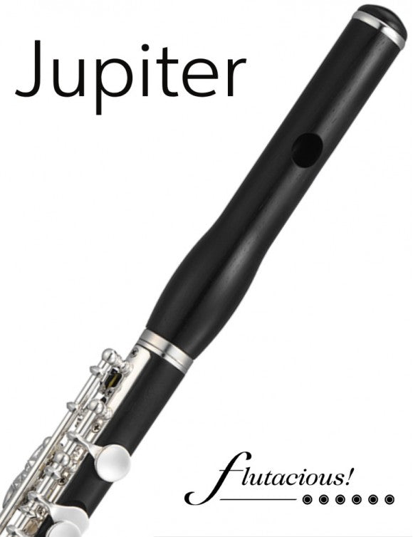 Jupiter Piccolo 1100E | Grenadilla