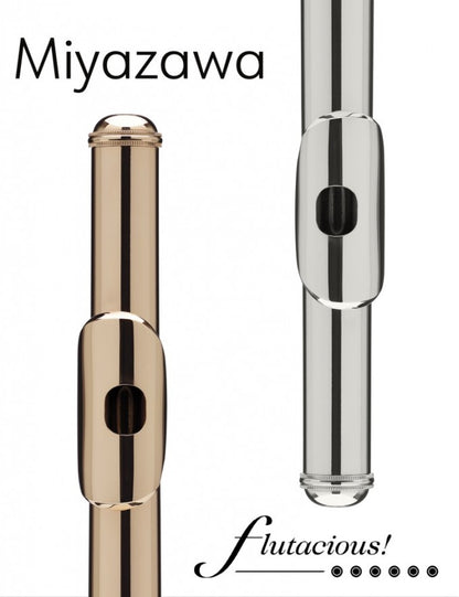 Miyazawa Silver + 14k riser