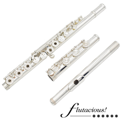 Powell Custom Silver #9273