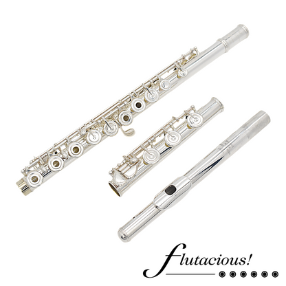 Powell Sonaré 505 #40270