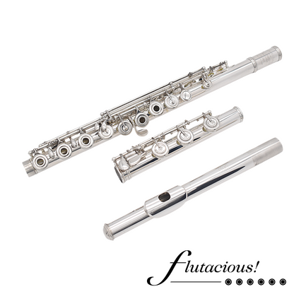 Haynes Custom Silver #54187