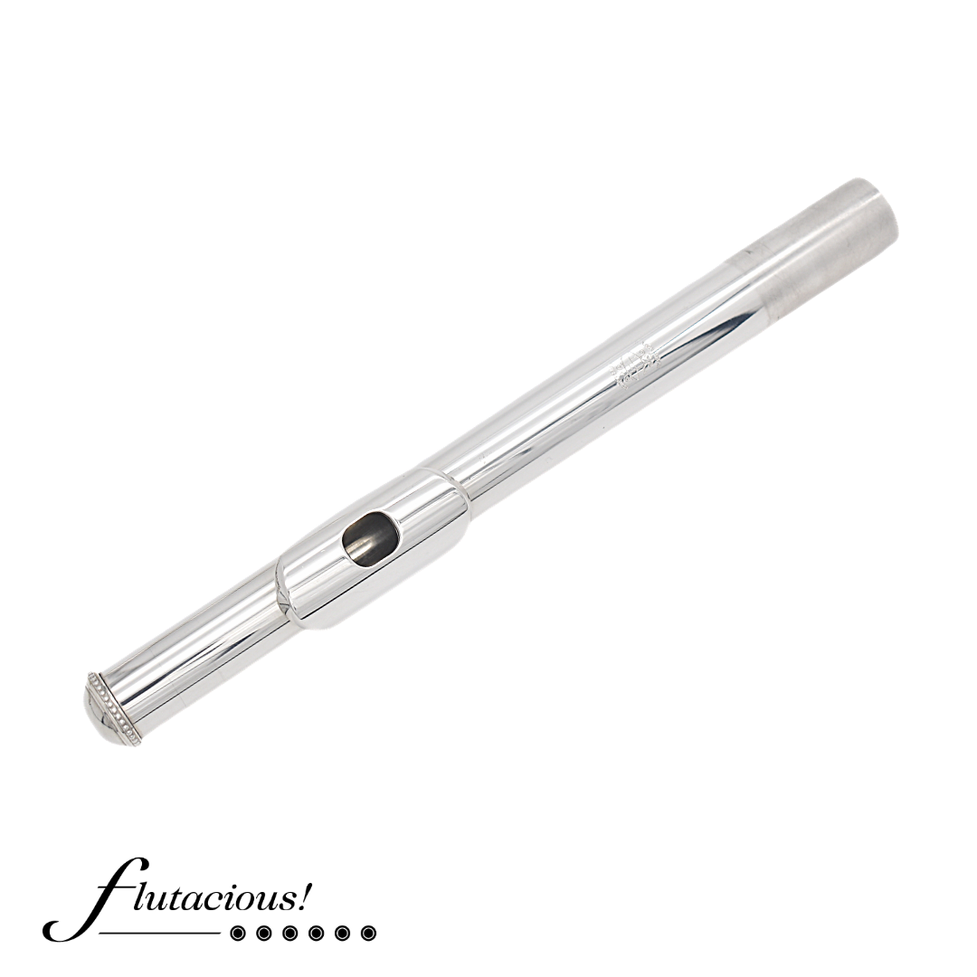 Haynes Custom Silver #54187