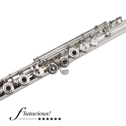 Haynes Custom Silver #54187