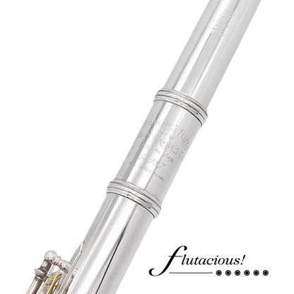 Haynes Custom Silver #54187