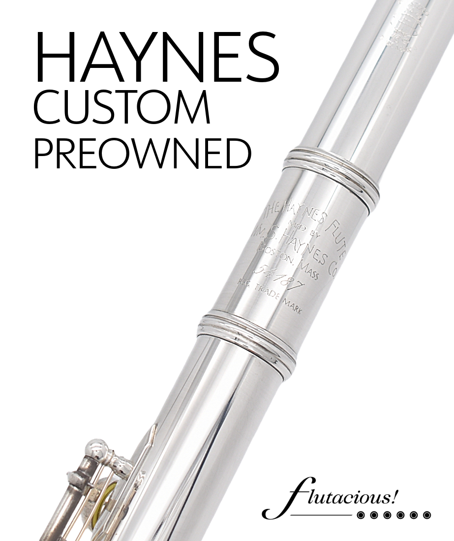 Haynes Custom Silver #54187