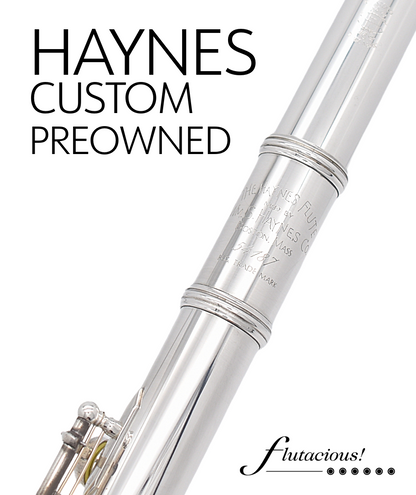 Haynes Custom Silver #54187
