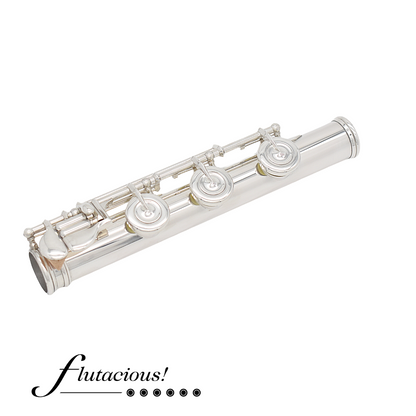 Haynes Custom Silver #52843