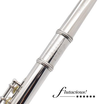 Haynes Custom Silver #52843