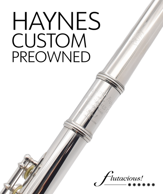 Haynes Custom Silver #52843
