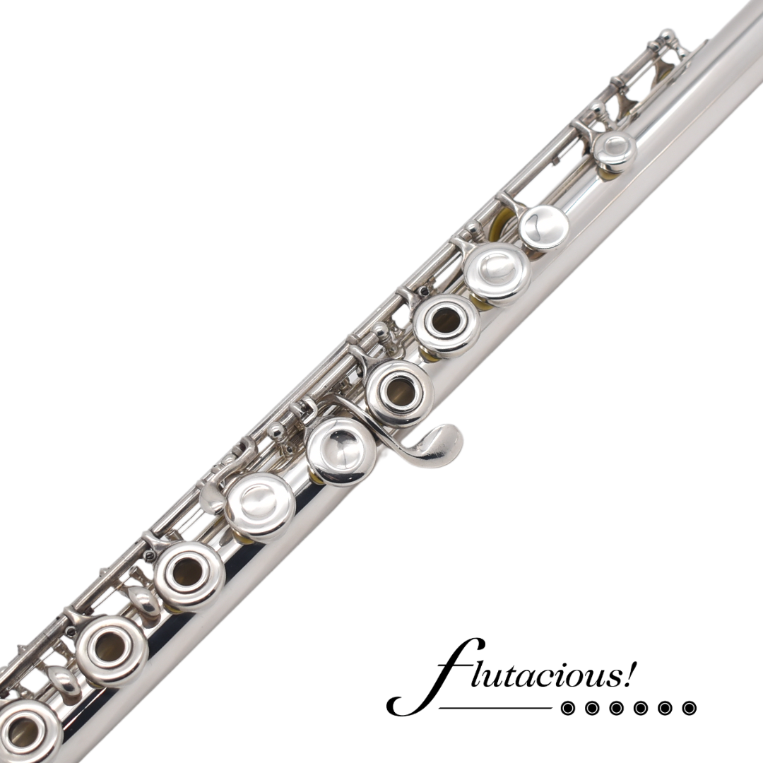 Haynes #23316 Commercial