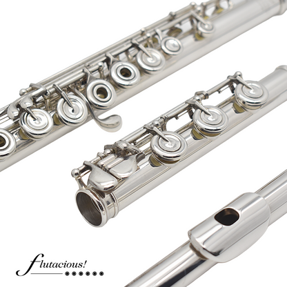 Powell Conservatory #HC-2878