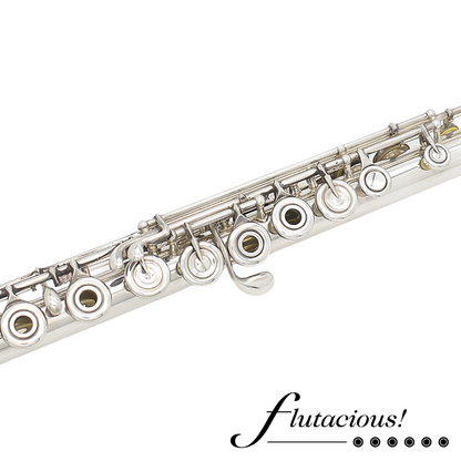 Powell Conservatory #HC-2878