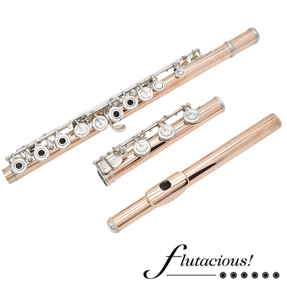 Powell Conservatory Aurumite 9K #HC-3301