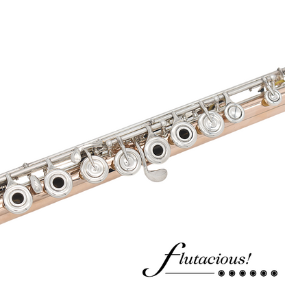 Powell Conservatory Aurumite 9K #HC-3301