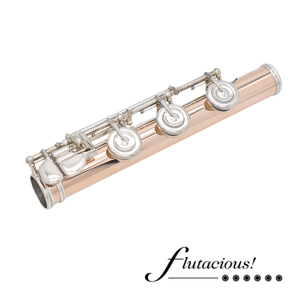 Powell Conservatory Aurumite 9K #HC-3301