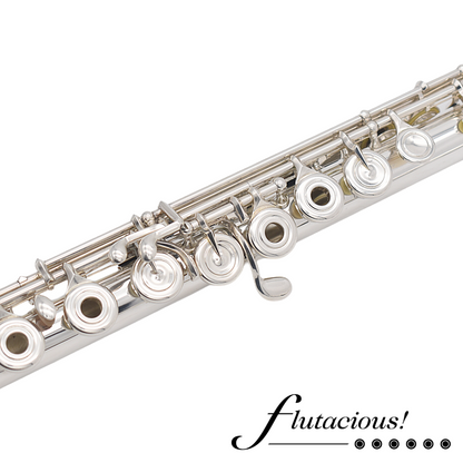 Di Zhao Handmade SP DSP-1116