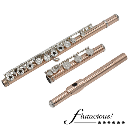 Powell Conservatory Aurumite 9K #HC-4423