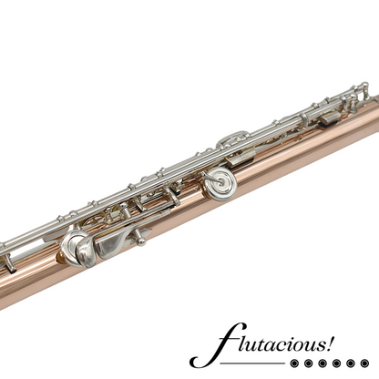 Powell Conservatory Aurumite 9K #HC-4423