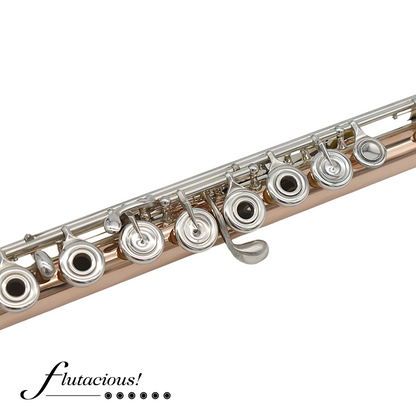 Powell Conservatory Aurumite 9K #HC-4423