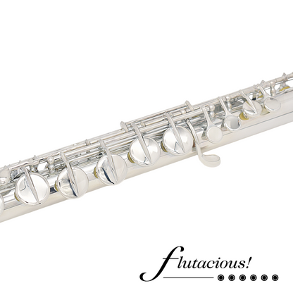 Amadeus AF670 #B2001604