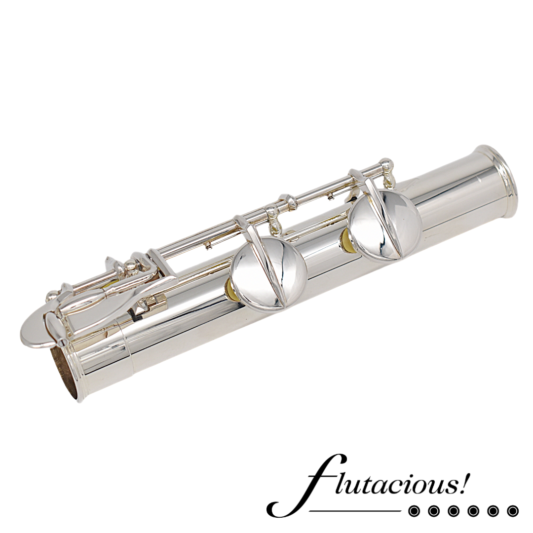 Di Zhao Alto DZA-100 #A24209