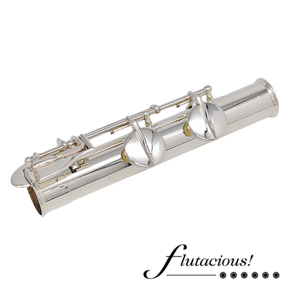 Di Zhao Alto DZA-100 #A24209