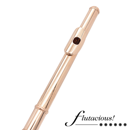 Powell 14k Gold Headjoint #10482 Venti