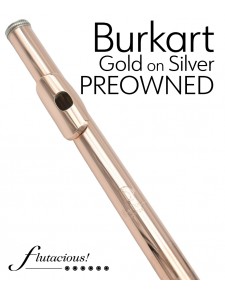 Burkart Gold on Silver Headjoint