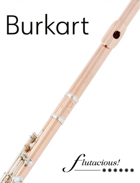 Burkart Professional | 9k Gold on Silver