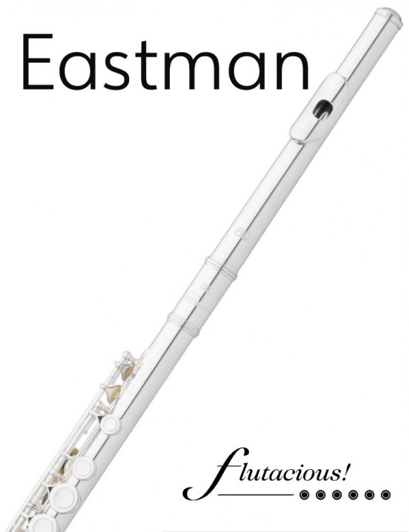 Eastman 210