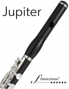 Jupiter Piccolo JPC1000 (303S)
