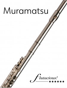 Muramatsu EX