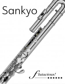 Sankyo Alto Flute AF-201 | Curved Head