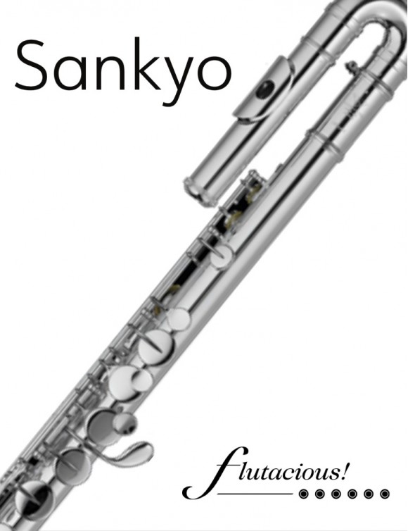 Sankyo Alto Flute AF-301 | Straight Head 