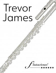 Trevor James Alto Flute Performer Series
