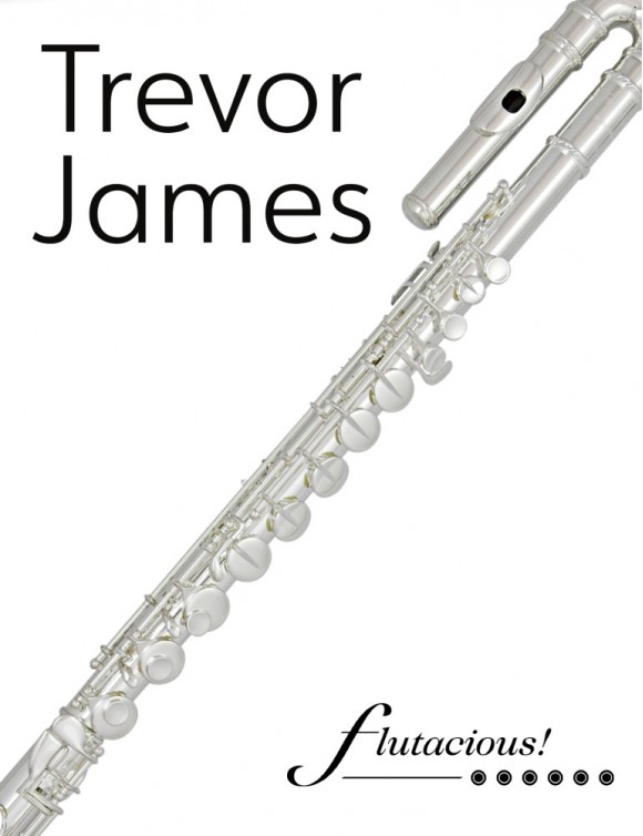 Trevor James Bass Flute
